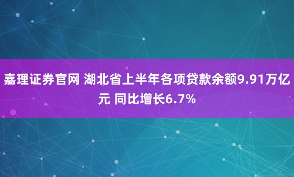 嘉理证券官网 湖北省上半年各项贷款余额9.91万亿元 同比增长6.7%